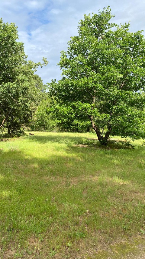 ED Construction 30 | Experts en studios de jardin à Uzès -Votre studio de jardin à Uzès